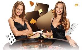 Dashboard Togel Result matic 4d dengan hasil real-time dan data historis